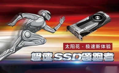 太阳花品牌计算机硬件综合评测 老牌显卡厂商如今实力如何？